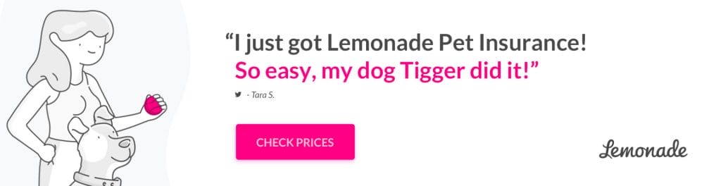 Lemonade Pet Insurance Banner Ad 970x250