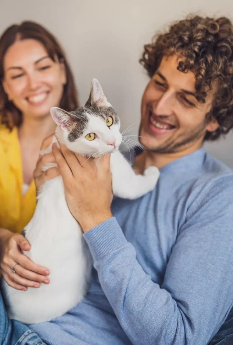 InsuRabbit_Pet Insurance Graphic 2