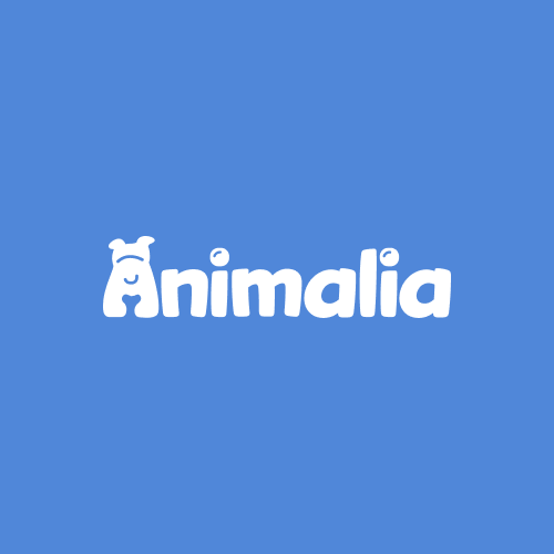 Animalia Logo
