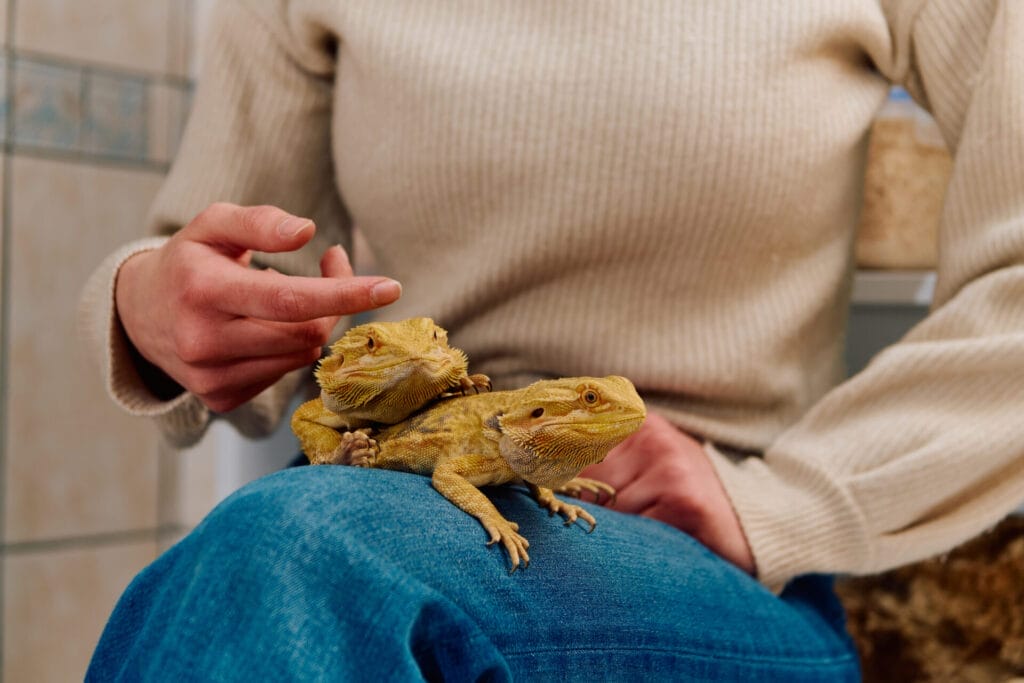 InsuRabbit_Does pet insurance cover exotic pets?_Image 1