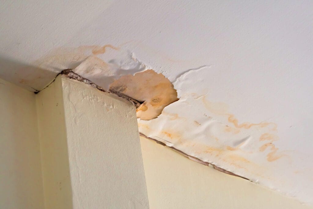 InsuRabbit_Does renters insurance cover water damage?_Image 1