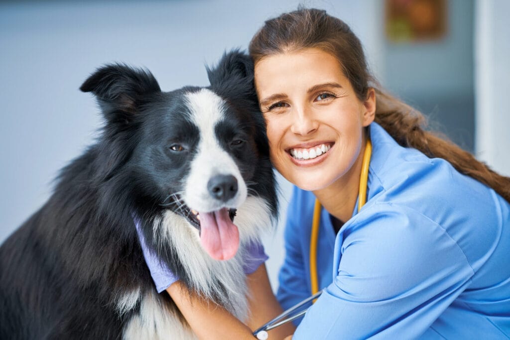 InsuRabbit_How much do rabies shots cost for dogs in 2025?_Image 2