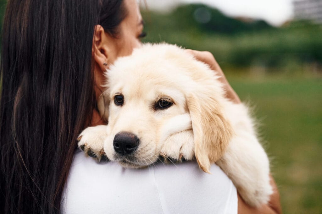 InsuRabbit_The growing trend of pet ownership and insurance in the United States_Image 2