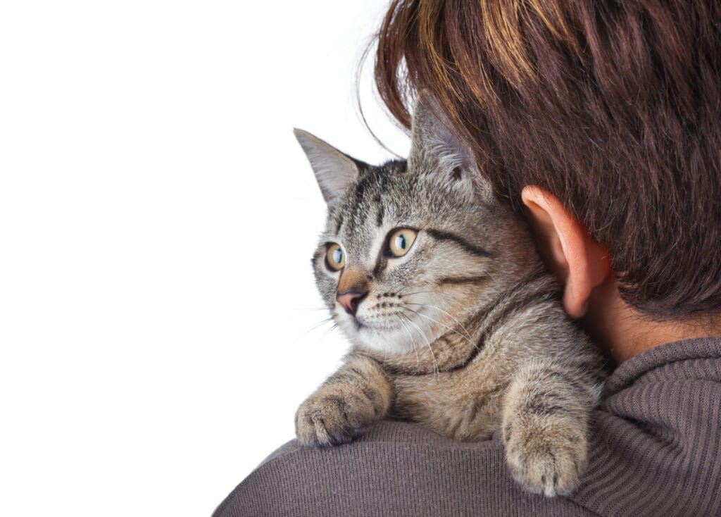 InsuRabbit_What does pet health insurance not cover?_Image 1