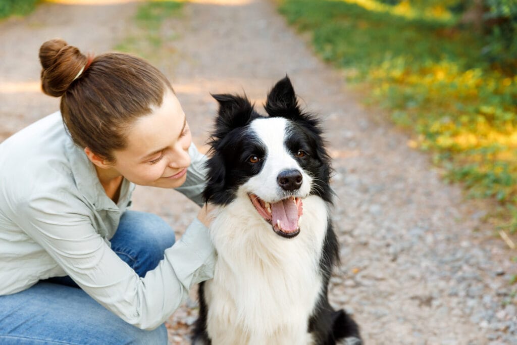 InsuRabbit_What does pet health insurance not cover?_Image 2